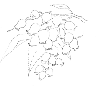 水彩工房 ひだまり 塗り絵帳